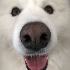 Meet your Posher, Quidde